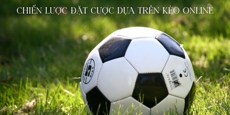 Chiến Lược Theo Dõi Kèo Online: Hướng Dẫn Chi Tiết Từ 11bet 7 Chiến lược đặt cược dựa trên kèo online